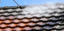Roof Cleaning